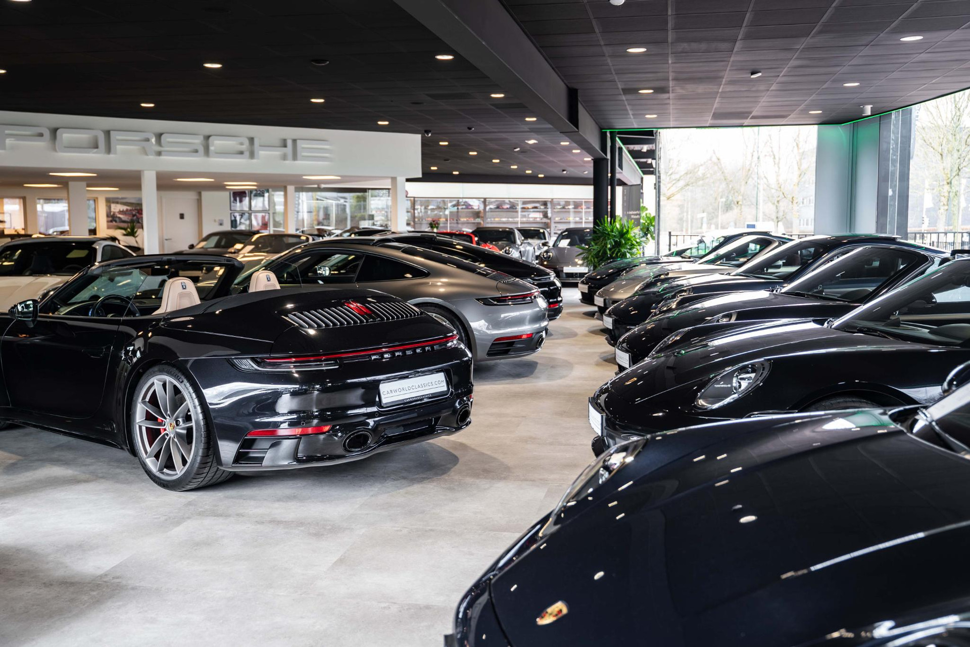 45815705-1.jpg